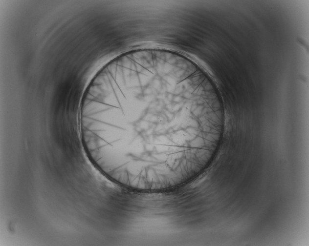 X0000099951247200806061535