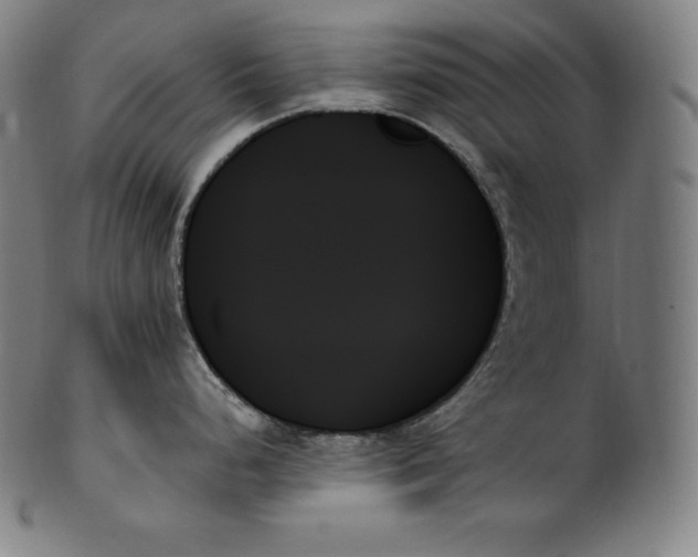 X0000099951248200806061535