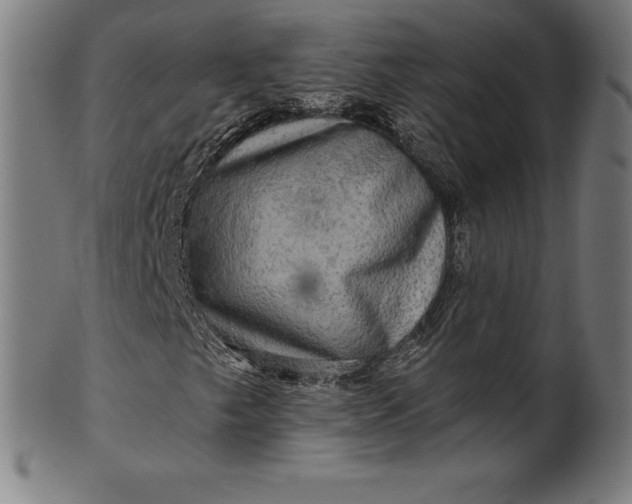 X0000099951249200806061534