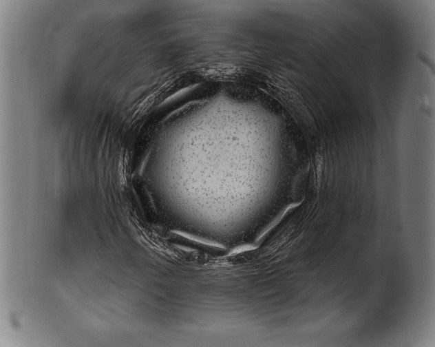 X0000099951250200806061534