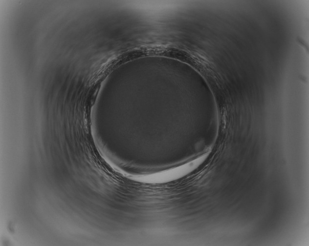 X0000099951252200806061534