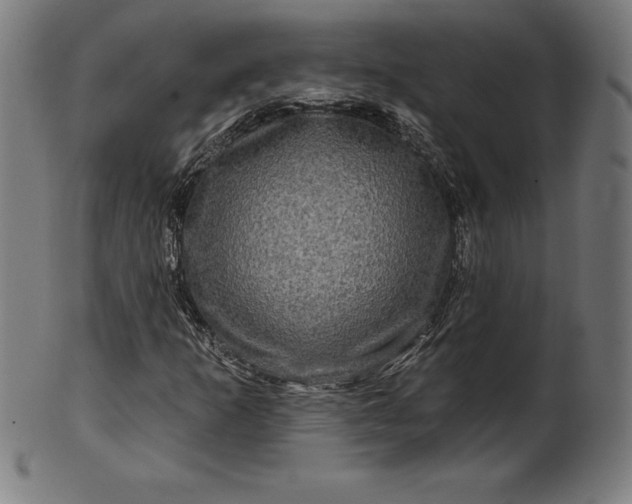 X0000099951253200806061534