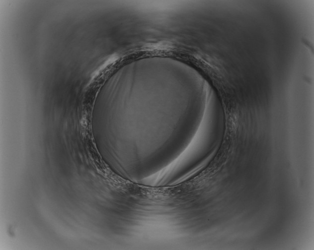 X0000099951254200806061534