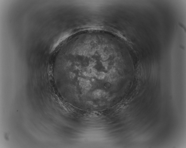 X0000099951255200806061534