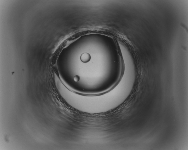 X0000099951256200806061534