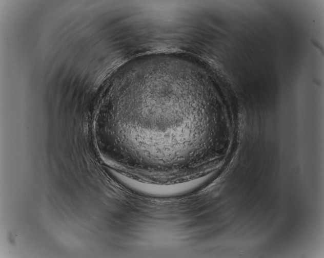 X0000099951257200806061534