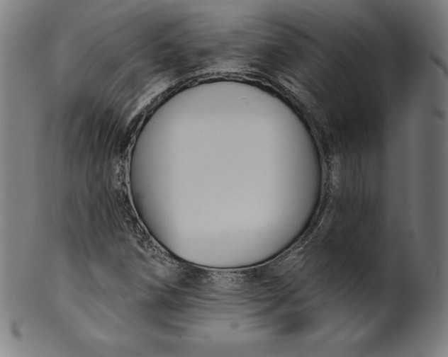 X0000099951258200806061534