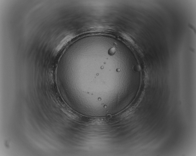 X0000099951259200806061534