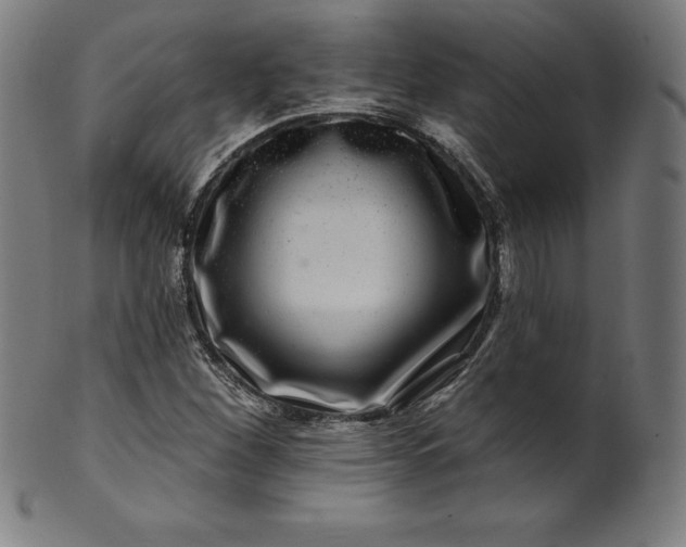 X0000099951260200806061534