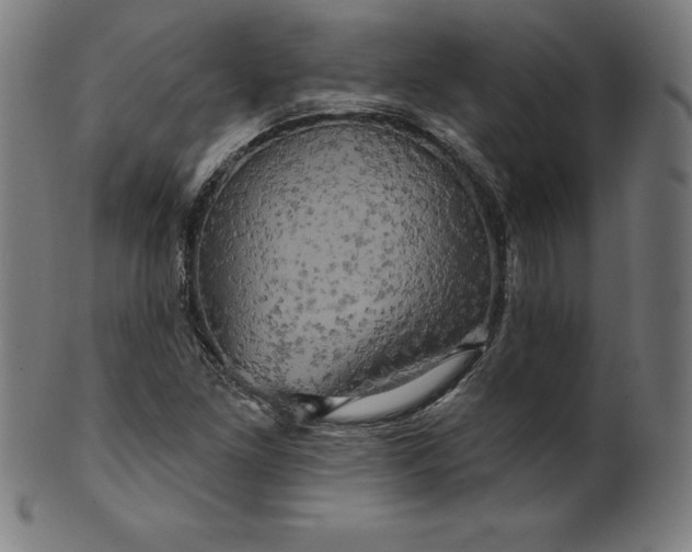 X0000099951261200806061534