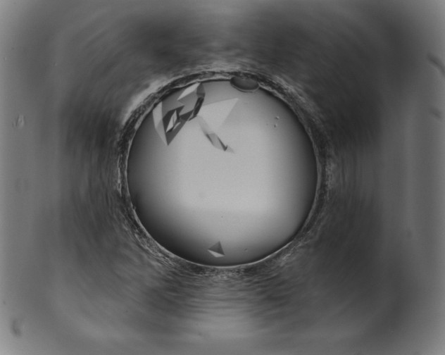 X0000099951262200806061534