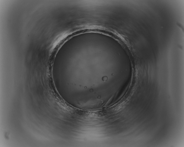 X0000099951263200806061534