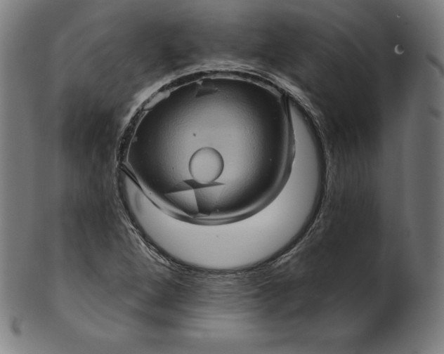 X0000099951264200806061534