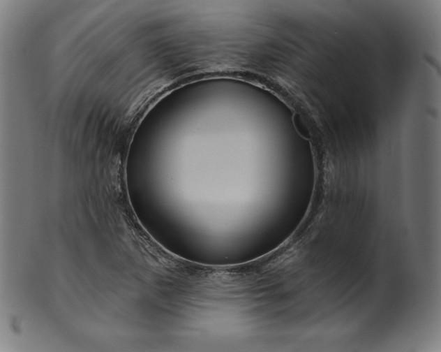 X0000099951265200806061534