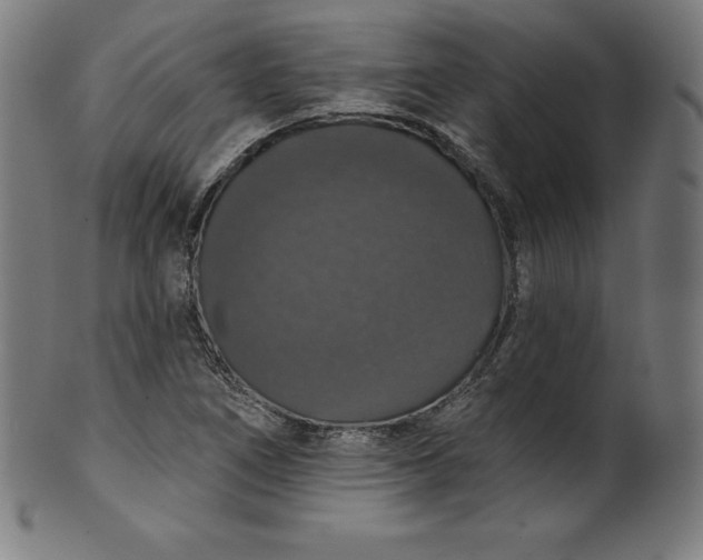 X0000099951266200806061534