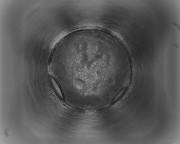 X0000099951267200806061534