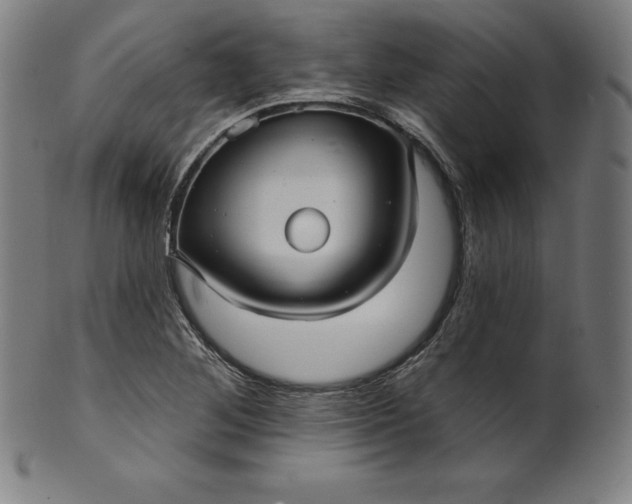 X0000099951268200806061534