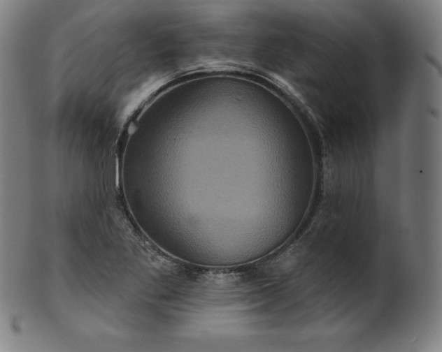 X0000099951269200806061534