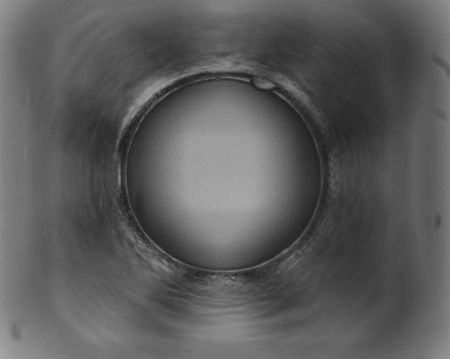 X0000099951270200806061534