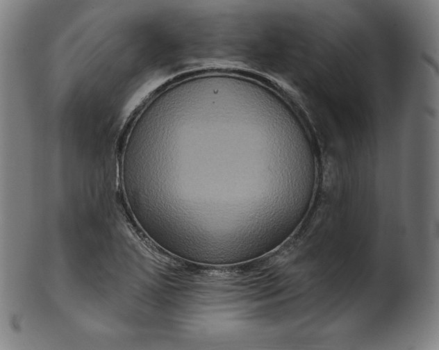 X0000099951271200806061534