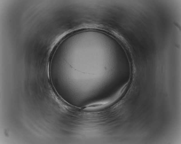 X0000099951272200806061534