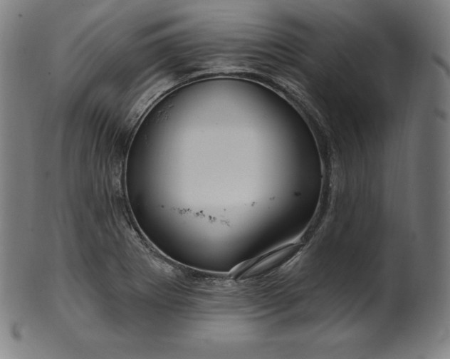 X0000099951273200806061534