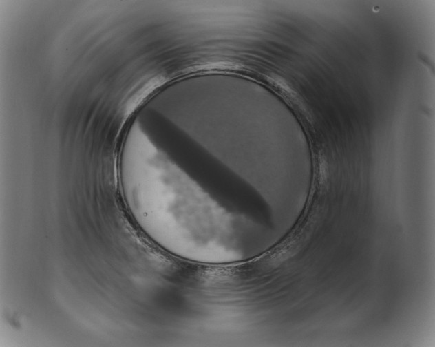 X0000099951274200806061534