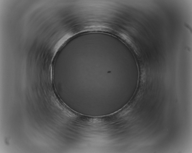 X0000099951275200806061534