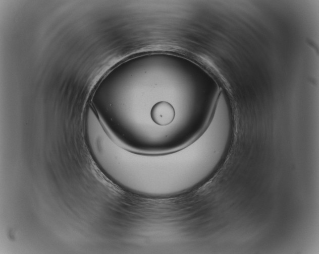 X0000099951276200806061534