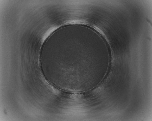 X0000099951277200806061534