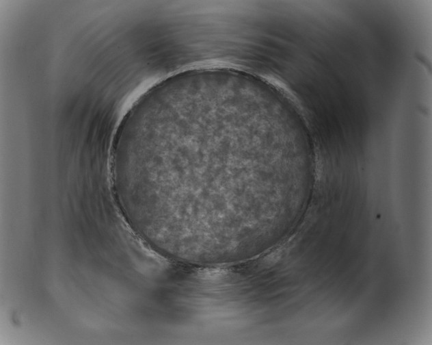 X0000099951278200806061534