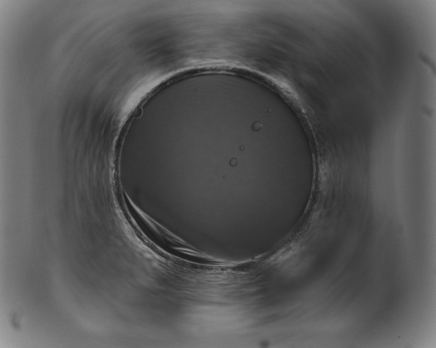 X0000099951279200806061534