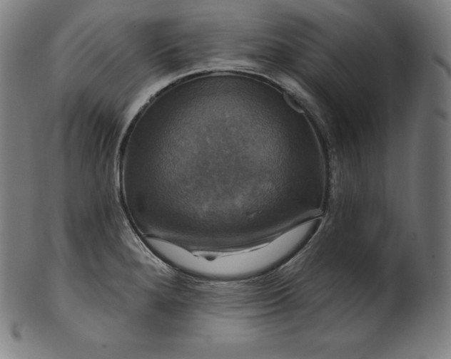 X0000099951280200806061534