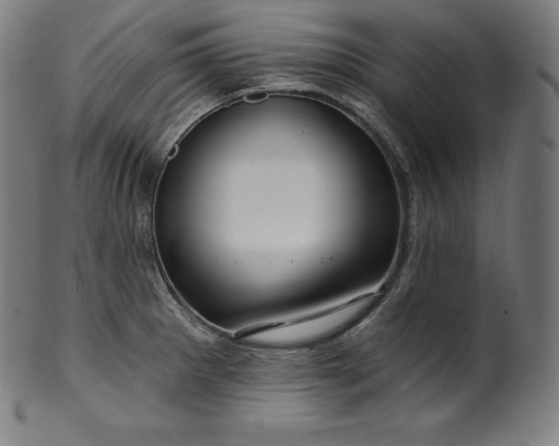 X0000099951281200806061534