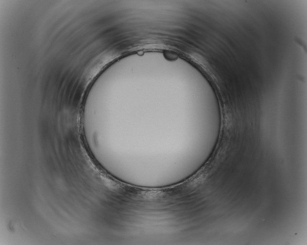 X0000099951282200806061534