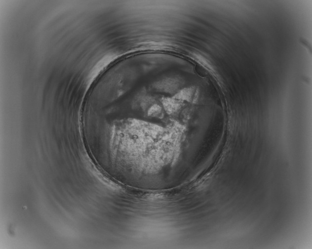 X0000099951283200806061534