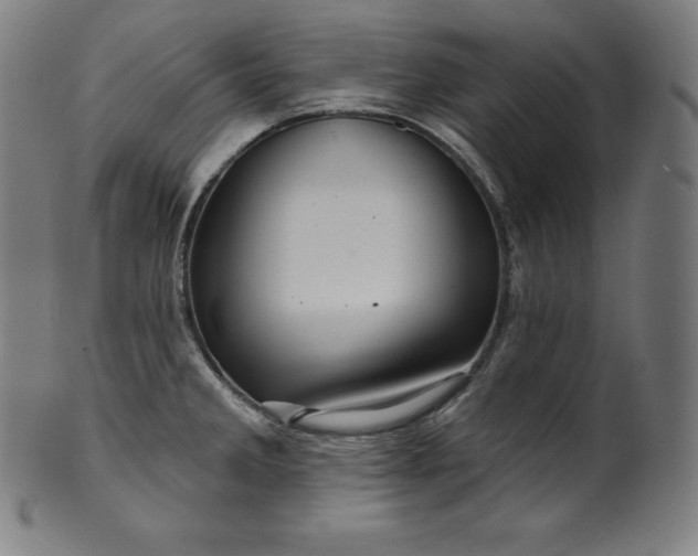 X0000099951285200806061534