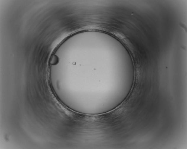 X0000099951286200806061534