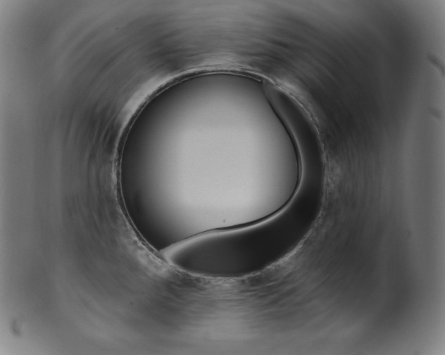 X0000099951288200806061534