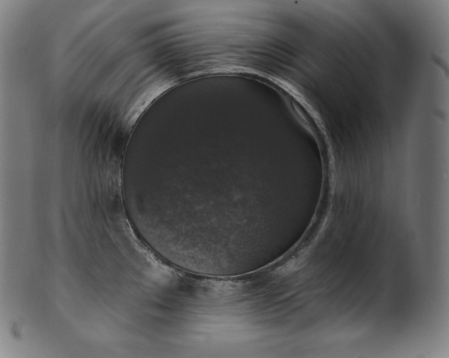 X0000099951289200806061534