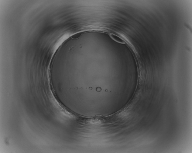 X0000099951291200806061533