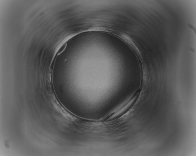 X0000099951292200806061533