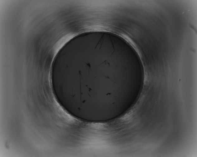 X0000099951293200806061533