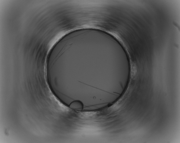 X0000099951294200806061533