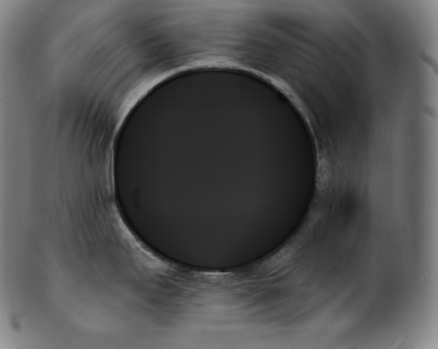 X0000099951295200806061533