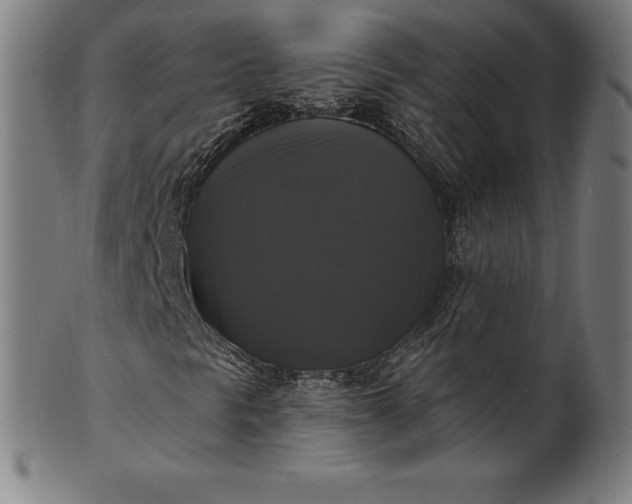 X0000099951297200806061533