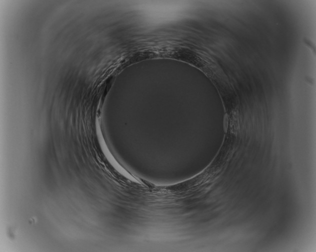 X0000099951298200806061533