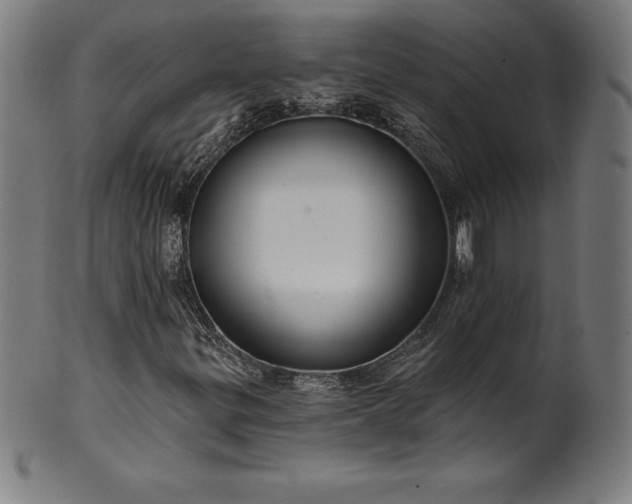 X0000099951299200806061533