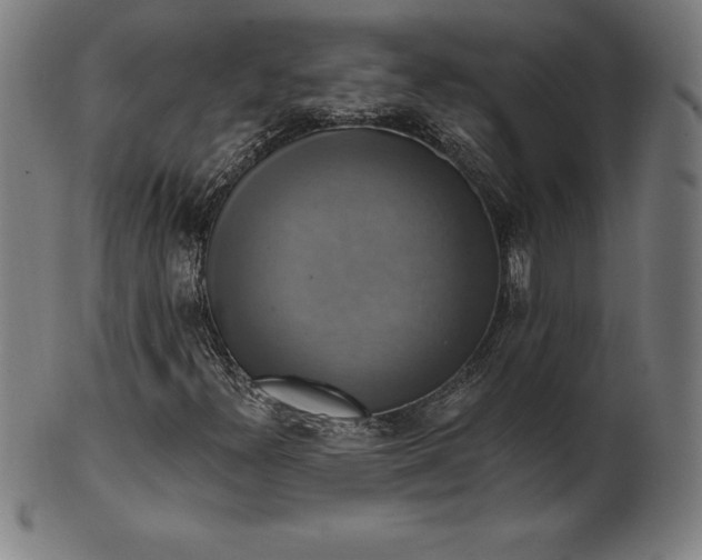 X0000099951300200806061533