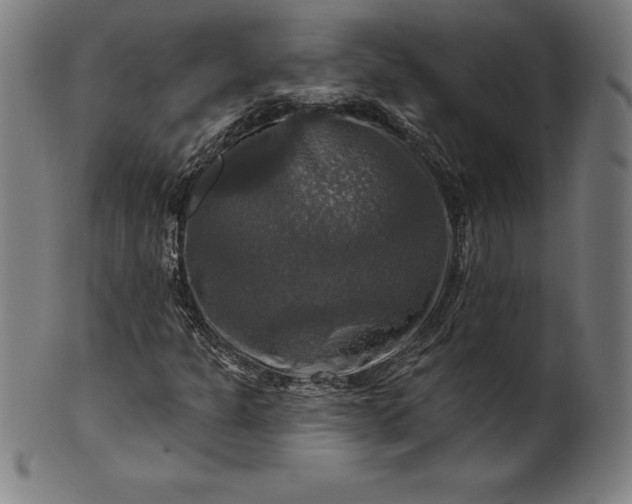 X0000099951301200806061533